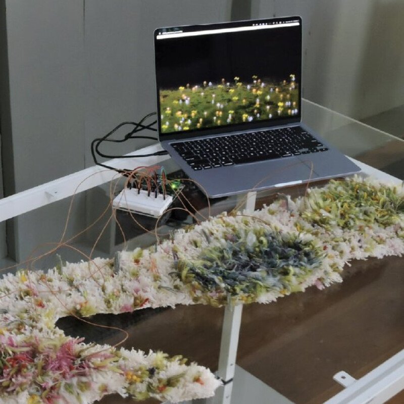 Prairie Interfaces by Madeleine Olsen